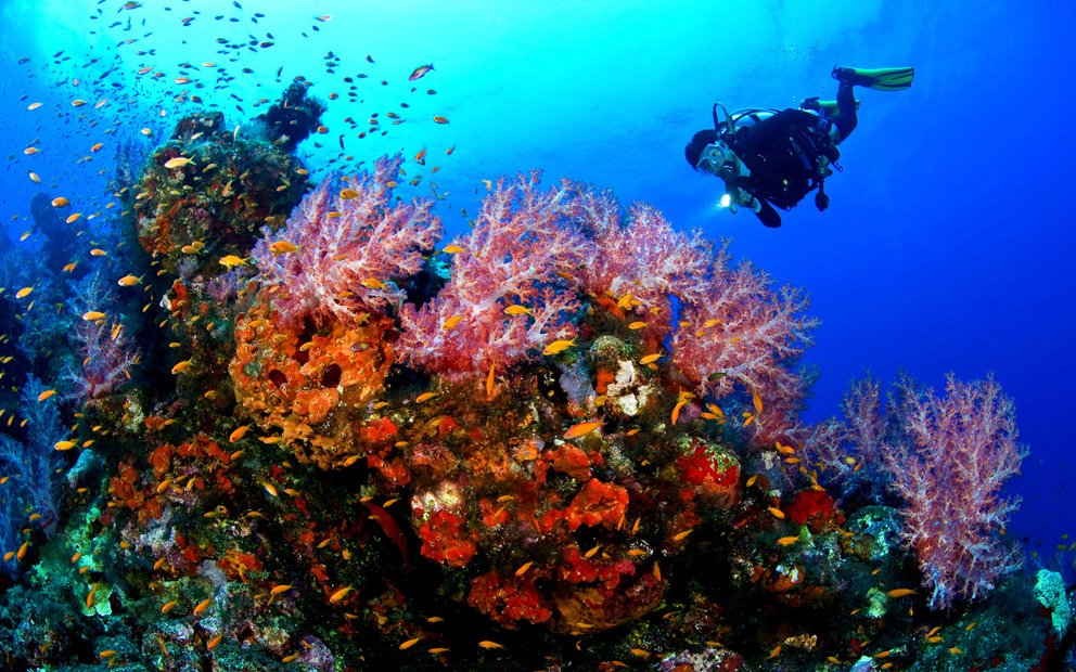Scuba Diving